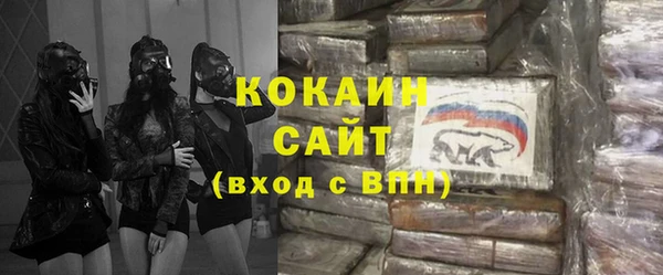 прущие грибы Бородино