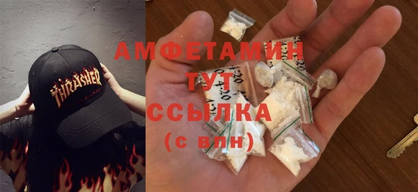 прущие грибы Бородино