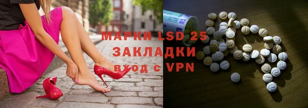 прущие грибы Бородино