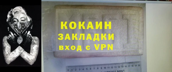 прущие грибы Бородино