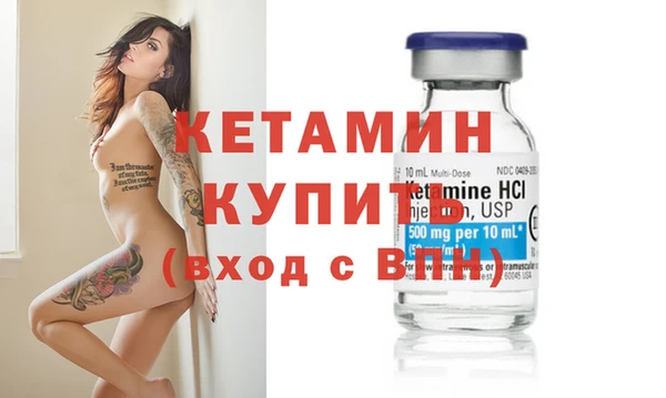 прущие грибы Бородино