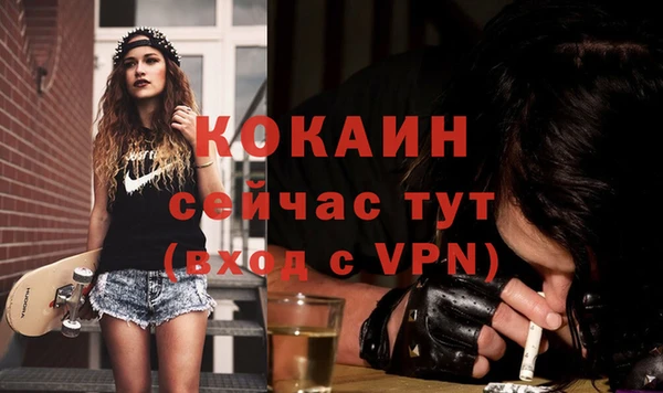 прущие грибы Бородино