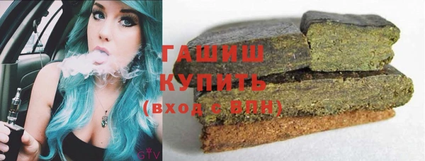 прущие грибы Бородино