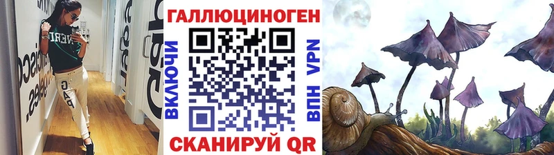Псилоцибиновые грибы прущие грибы  Мурино 